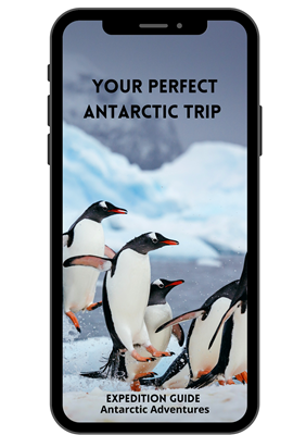 Download Antarctic Guide