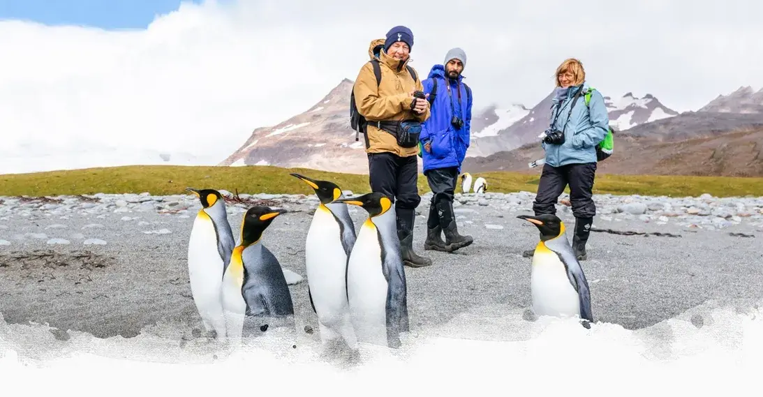 South Georgia, Antarctica